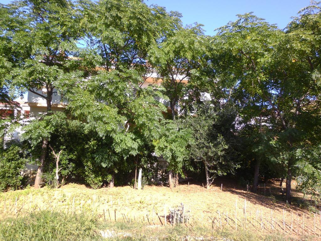 Apartments Kresimir Beauty With Shadow Trees And Parking Place Pag Town Exterior foto